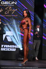 Grand Prix Dudushkin Fitness Family - 2024