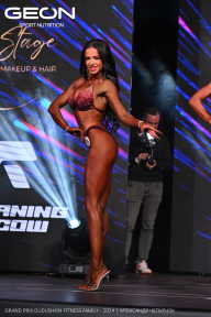 Grand Prix Dudushkin Fitness Family - 2024