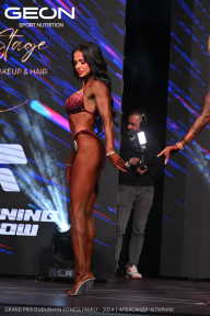 Grand Prix Dudushkin Fitness Family - 2024