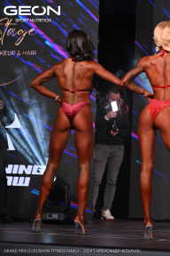 Grand Prix Dudushkin Fitness Family - 2024