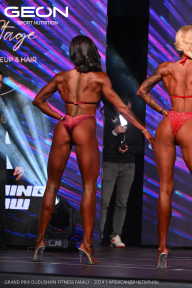 Grand Prix Dudushkin Fitness Family - 2024