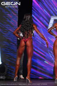 Grand Prix Dudushkin Fitness Family - 2024