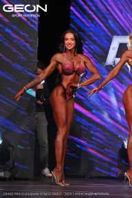 Grand Prix Dudushkin Fitness Family - 2024