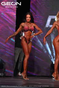 Grand Prix Dudushkin Fitness Family - 2024