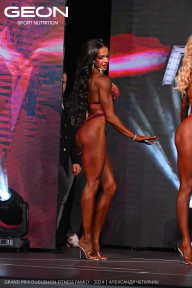 Grand Prix Dudushkin Fitness Family - 2024