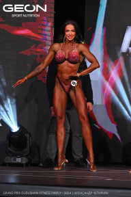 Grand Prix Dudushkin Fitness Family - 2024