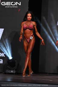 Grand Prix Dudushkin Fitness Family - 2024