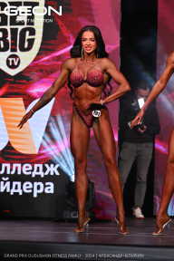 Grand Prix Dudushkin Fitness Family - 2024