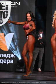 Grand Prix Dudushkin Fitness Family - 2024