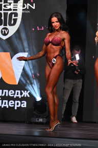 Grand Prix Dudushkin Fitness Family - 2024