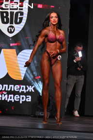Grand Prix Dudushkin Fitness Family - 2024
