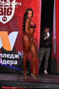 Grand Prix Dudushkin Fitness Family - 2024