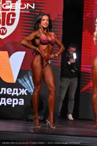 Grand Prix Dudushkin Fitness Family - 2024