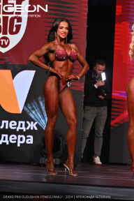 Grand Prix Dudushkin Fitness Family - 2024
