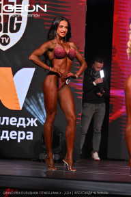 Grand Prix Dudushkin Fitness Family - 2024