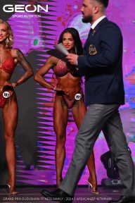 Grand Prix Dudushkin Fitness Family - 2024