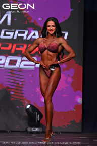 Grand Prix Dudushkin Fitness Family - 2024