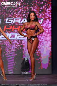 Grand Prix Dudushkin Fitness Family - 2024