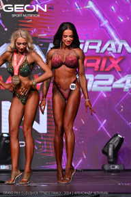 Grand Prix Dudushkin Fitness Family - 2024