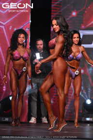 Grand Prix Dudushkin Fitness Family - 2024
