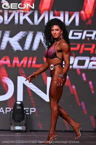 Grand Prix Dudushkin Fitness Family - 2024