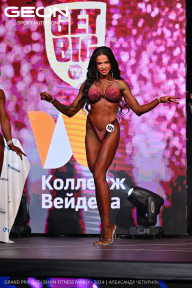 Grand Prix Dudushkin Fitness Family - 2024
