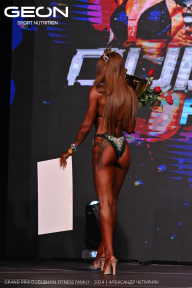 Grand Prix Dudushkin Fitness Family - 2024