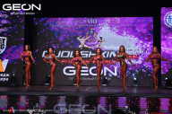 Grand Prix Dudushkin Fitness Family - 2024