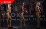 Кубок президента Федерации Ленинградской области - 2024