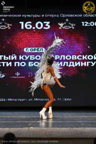 Кубок Орловской области по бодибилдингу - 2024