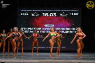 Кубок Орловской области по бодибилдингу - 2024