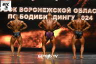 Кубок Воронежской области по бодибилдингу - 2024