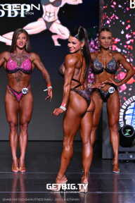 Grand Prix Dudushkin Fitness Family - 2025