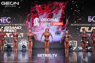 Grand Prix Dudushkin Fitness Family - 2025