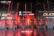 Grand Prix Dudushkin Fitness Family - 2025