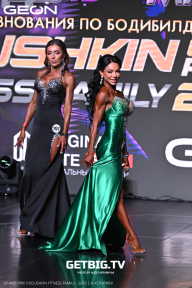 Grand Prix Dudushkin Fitness Family - 2025
