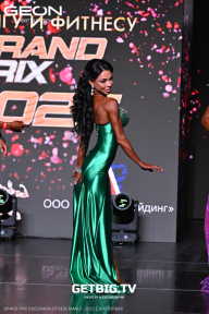 Grand Prix Dudushkin Fitness Family - 2025