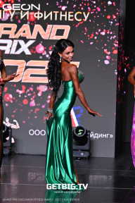 Grand Prix Dudushkin Fitness Family - 2025