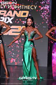 Grand Prix Dudushkin Fitness Family - 2025