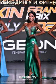 Grand Prix Dudushkin Fitness Family - 2025