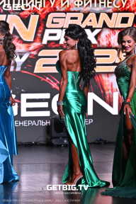 Grand Prix Dudushkin Fitness Family - 2025