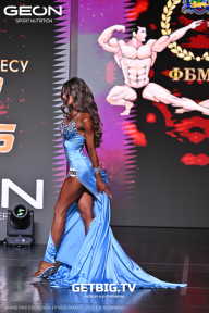 Grand Prix Dudushkin Fitness Family - 2025