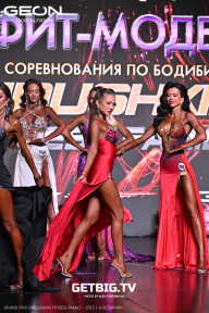 Grand Prix Dudushkin Fitness Family - 2025