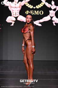 Grand Prix Dudushkin Fitness Family - 2025