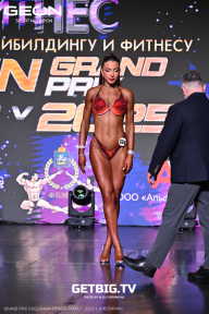 Grand Prix Dudushkin Fitness Family - 2025