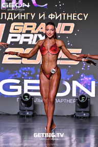 Grand Prix Dudushkin Fitness Family - 2025