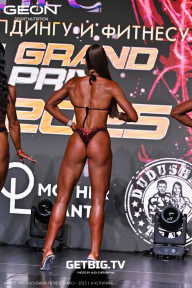 Grand Prix Dudushkin Fitness Family - 2025