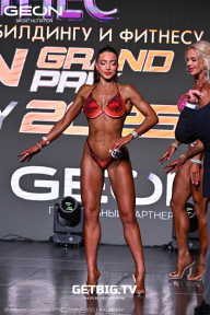 Grand Prix Dudushkin Fitness Family - 2025