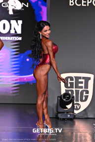Grand Prix Dudushkin Fitness Family - 2025