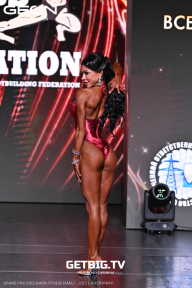 Grand Prix Dudushkin Fitness Family - 2025